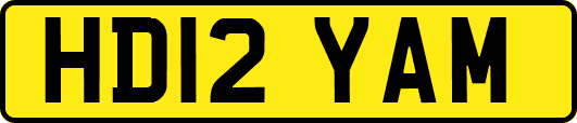 HD12YAM