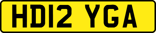 HD12YGA