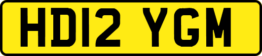 HD12YGM