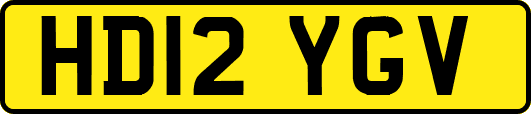 HD12YGV