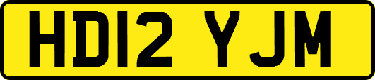HD12YJM