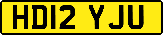 HD12YJU