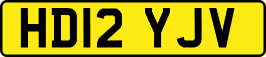 HD12YJV