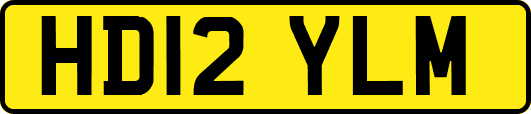HD12YLM