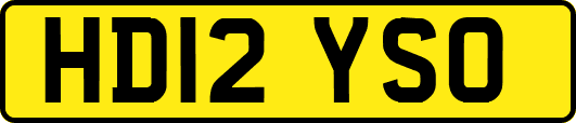 HD12YSO