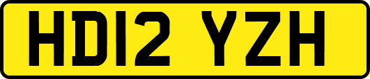 HD12YZH