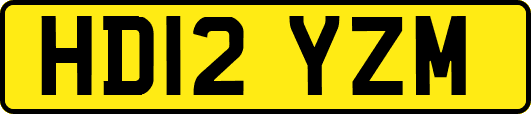 HD12YZM