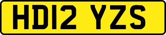 HD12YZS