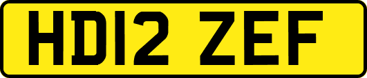 HD12ZEF