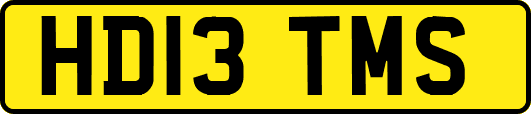 HD13TMS