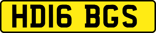 HD16BGS
