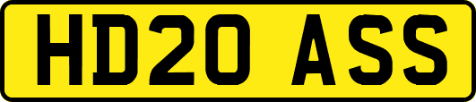 HD20ASS