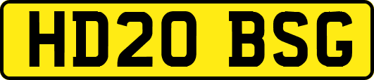 HD20BSG
