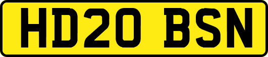 HD20BSN