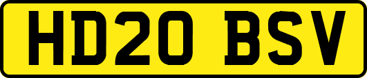 HD20BSV