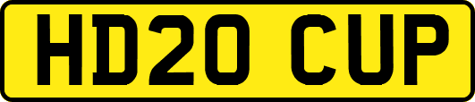 HD20CUP