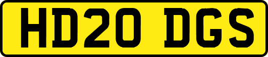 HD20DGS