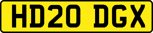 HD20DGX