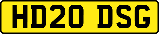 HD20DSG