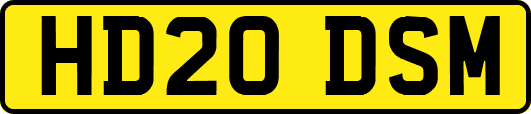 HD20DSM