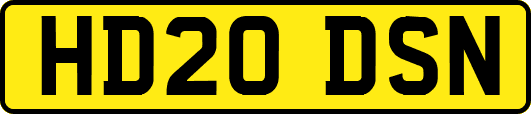 HD20DSN
