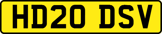 HD20DSV