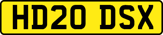HD20DSX