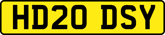 HD20DSY