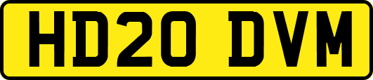 HD20DVM