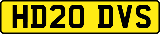 HD20DVS