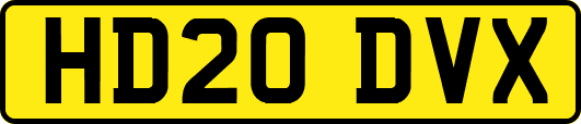 HD20DVX