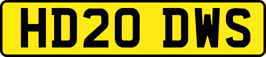 HD20DWS
