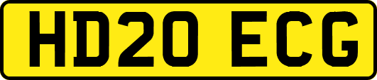 HD20ECG