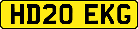 HD20EKG