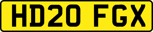 HD20FGX