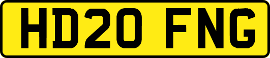 HD20FNG