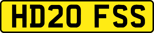 HD20FSS