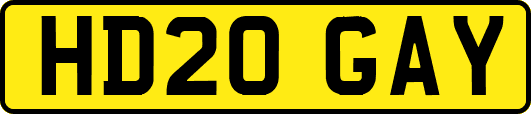 HD20GAY