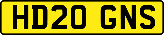 HD20GNS