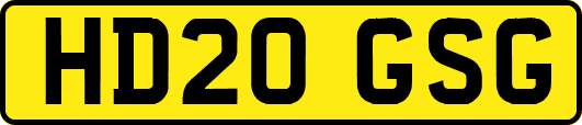 HD20GSG