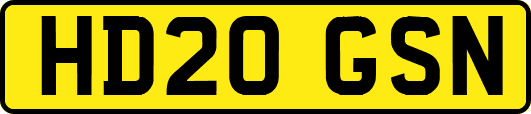 HD20GSN
