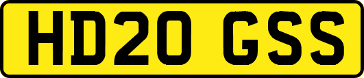 HD20GSS