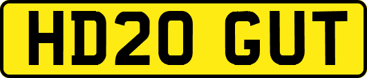 HD20GUT