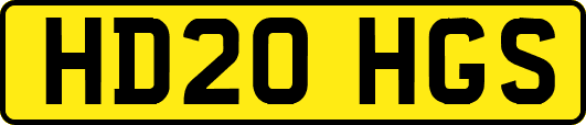 HD20HGS