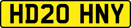 HD20HNY