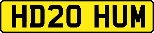 HD20HUM