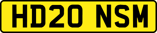 HD20NSM