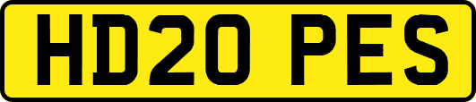 HD20PES