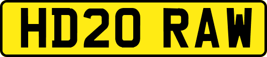 HD20RAW