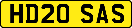 HD20SAS